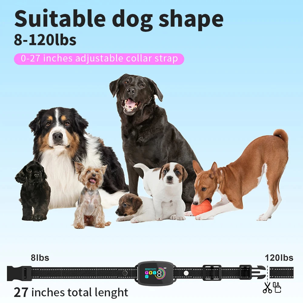f4d6b5bac6ff176c9b982ff001a14b54